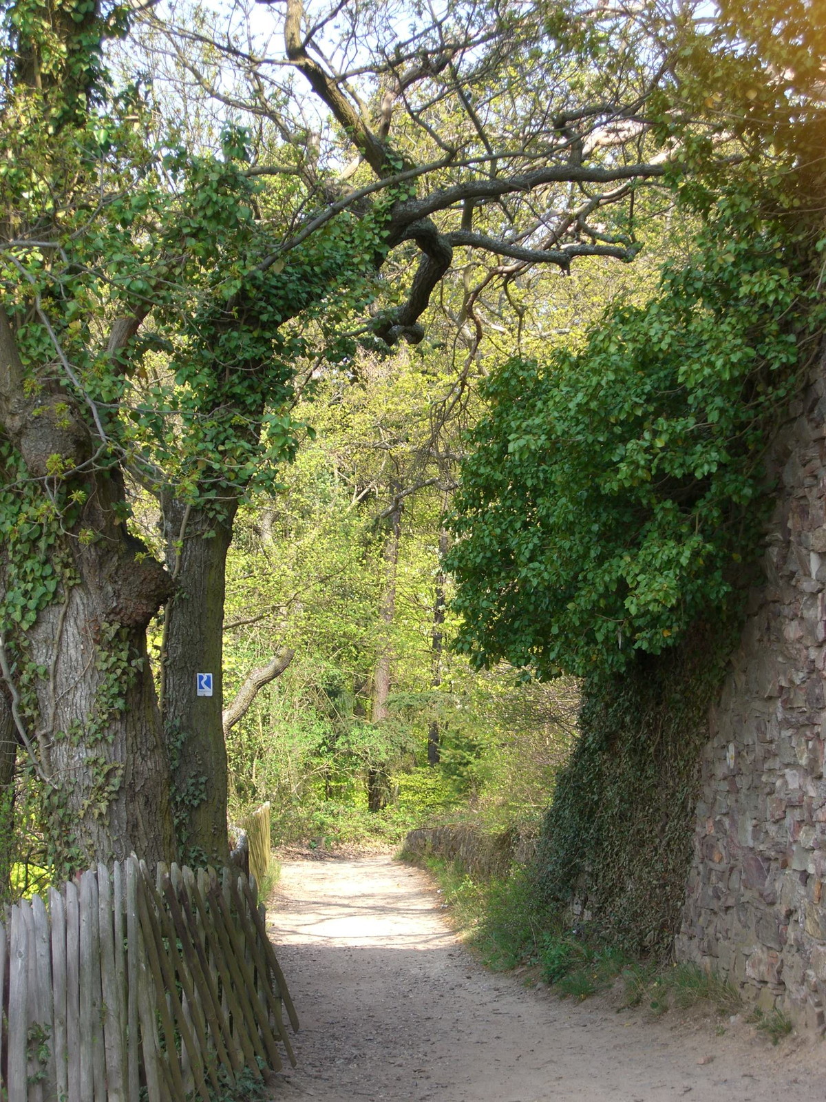 Ruedesheim
